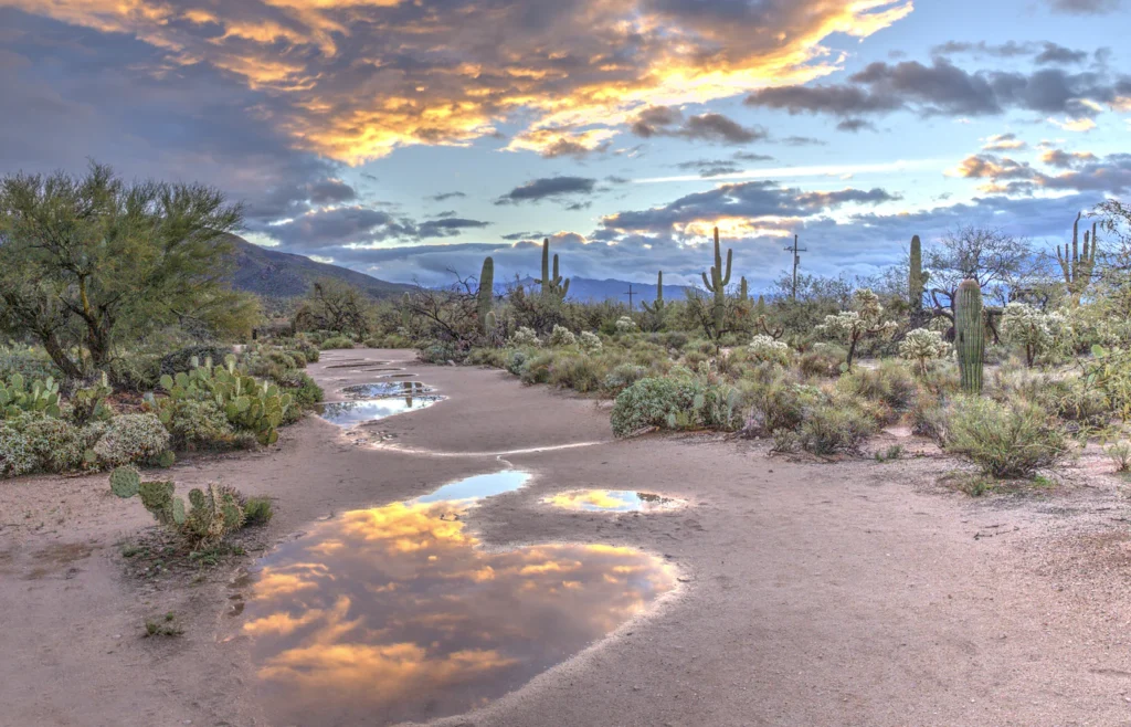 Rain puddles after an Arizona monsoon storm at sunset